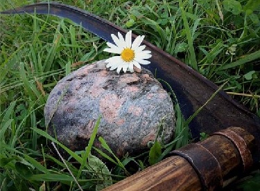 1463227 548128818616105 1573875651 n